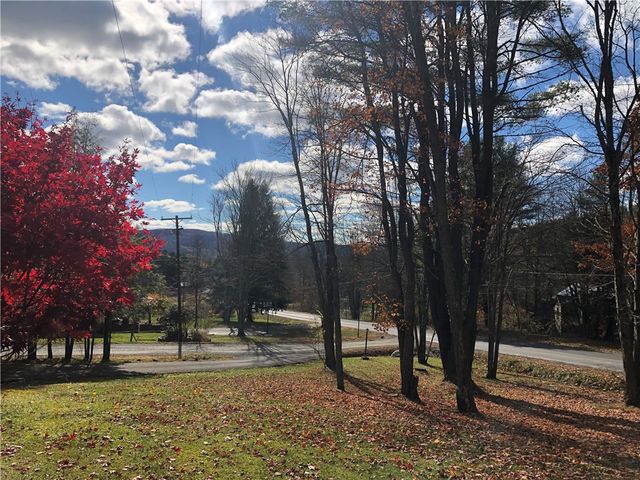 386 Winney Hill Road, Oneonta, NY 13820