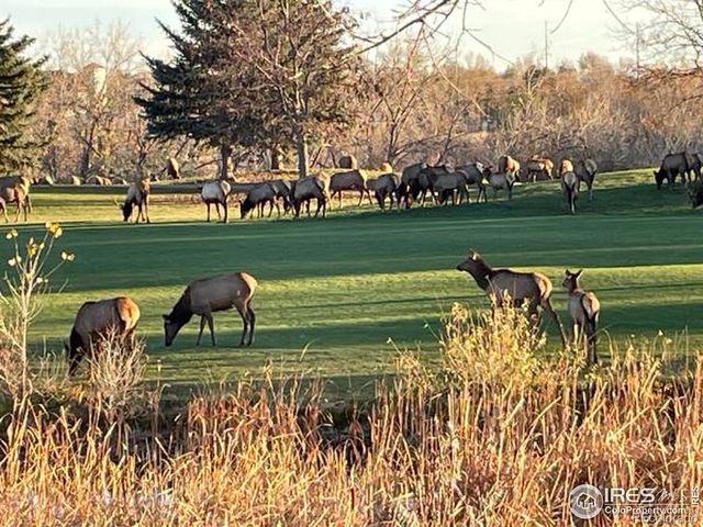 4339 Golf Vista Drive, Loveland, CO 80537