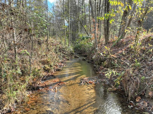 203 Buck Creek Trail, Epworth, GA 30541