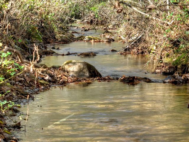 203 Buck Creek Trail, Epworth, GA 30541