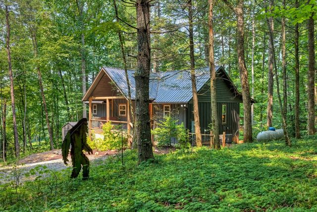 203 Buck Creek Trail, Epworth, GA 30541