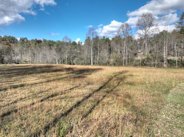 203 Buck Creek Trail, Epworth, GA 30541