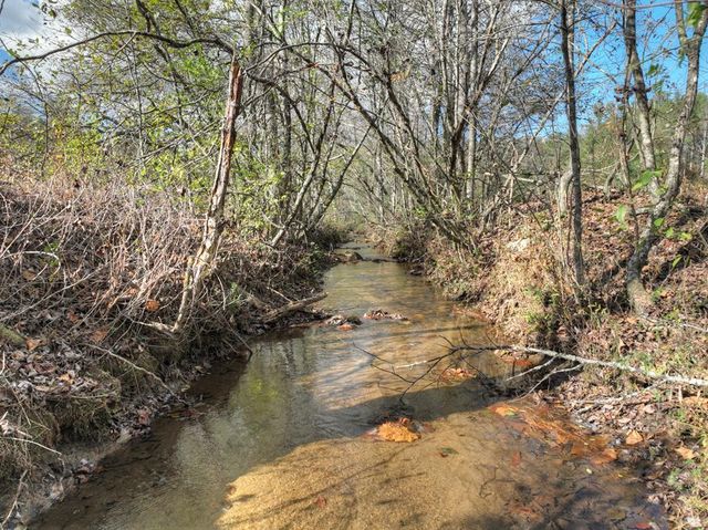 203 Buck Creek Trail, Epworth, GA 30541
