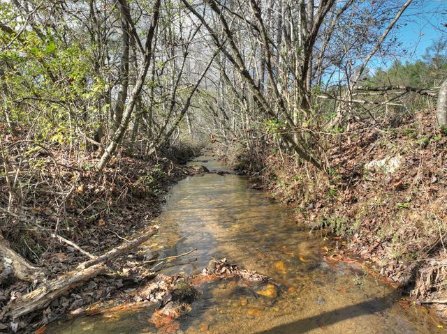 203 Buck Creek Trail, Epworth, GA 30541