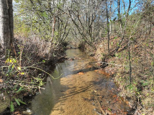 203 Buck Creek Trail, Epworth, GA 30541
