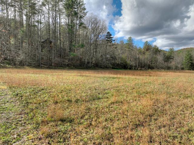 203 Buck Creek Trail, Epworth, GA 30541