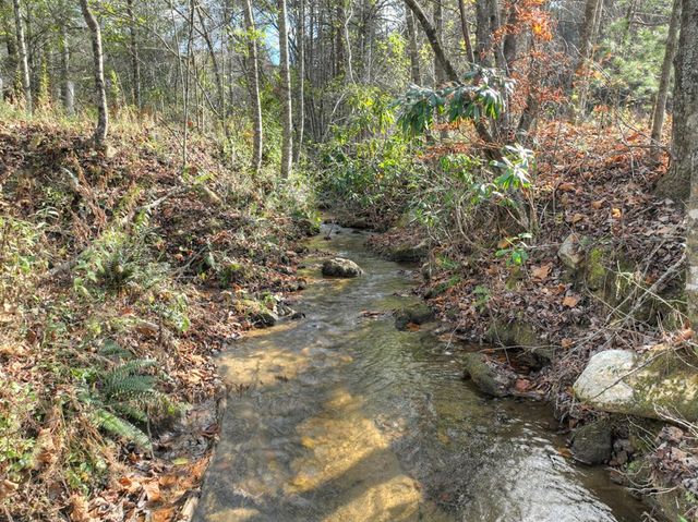 203 Buck Creek Trail, Epworth, GA 30541