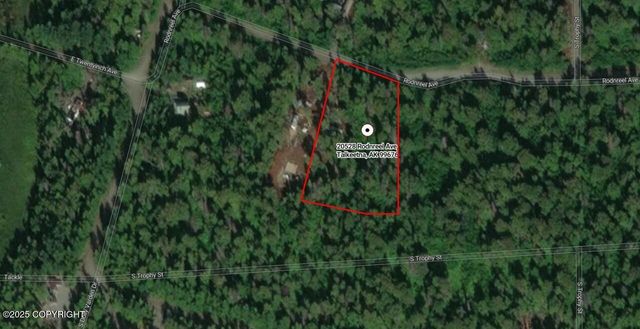 20528 E Rodnreel Avenue, Willow, AK 99688