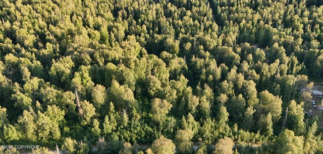 20528 E Rodnreel Avenue, Willow, AK 99688