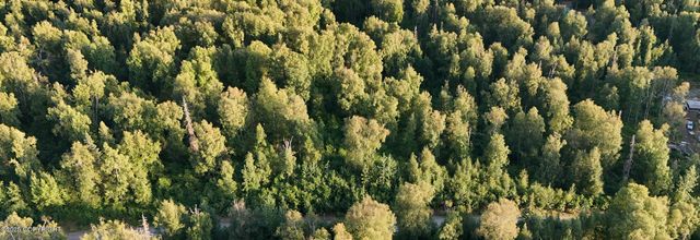 20528 E Rodnreel Avenue, Willow, AK 99688