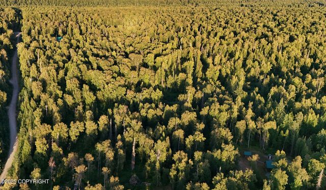 20528 E Rodnreel Avenue, Willow, AK 99688