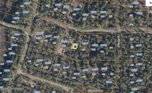 20528 E Rodnreel Avenue, Willow, AK 99688