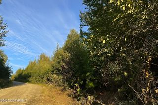 20528 E Rodnreel Avenue, Willow, AK 99688