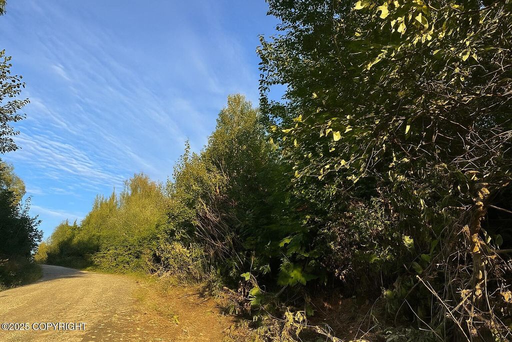 20528 E Rodnreel Avenue, Willow, AK 99688