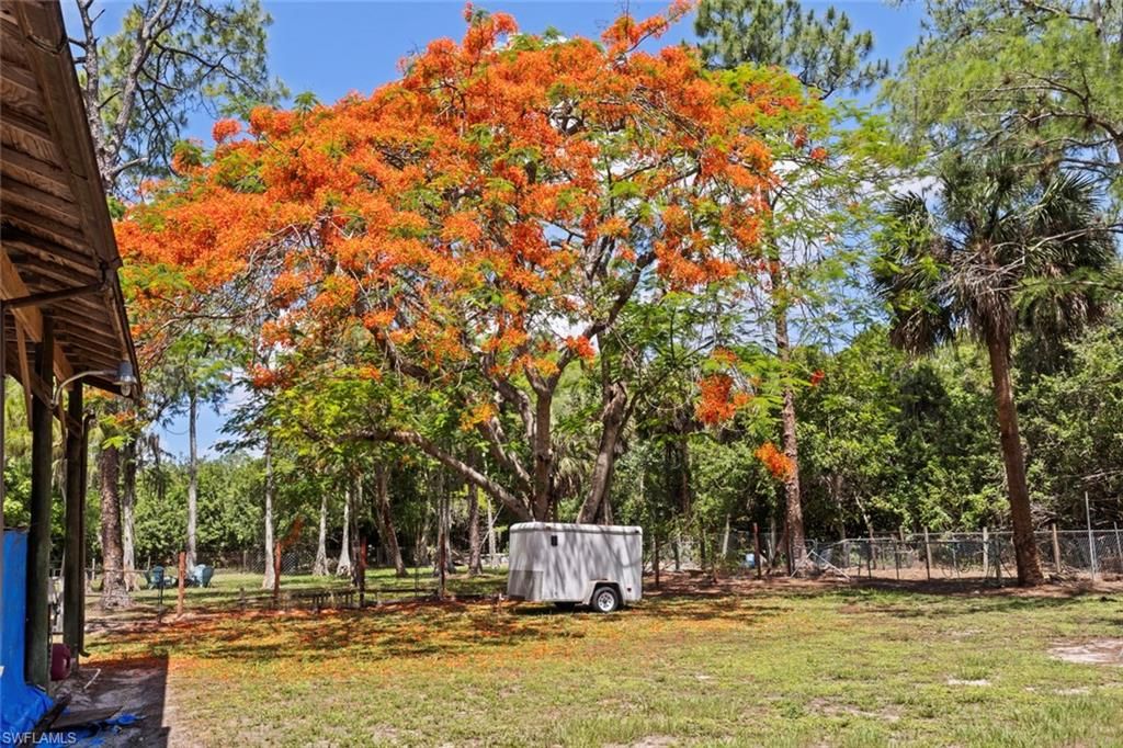 1445 31st ST SW, NAPLES, FL 34117 — photo 5