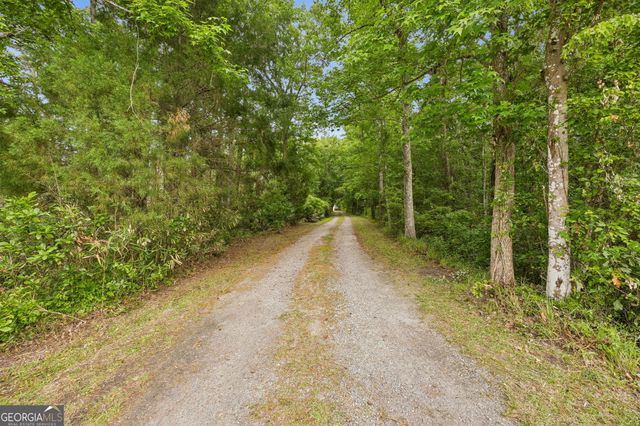 3198 Harrietts Bluff Road, Woodbine, GA 31569