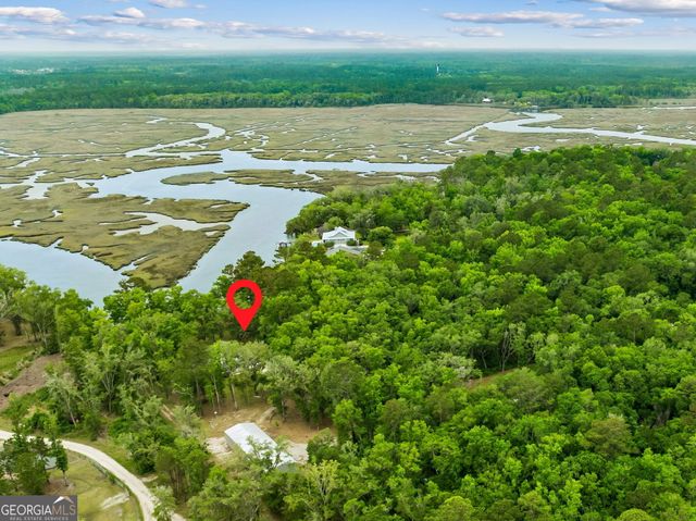 3198 Harrietts Bluff Road, Woodbine, GA 31569