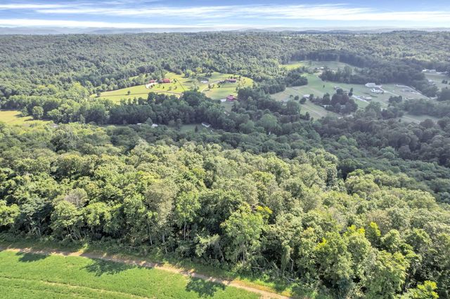 2371 Owl Creek Road, Frankfort, OH 45628