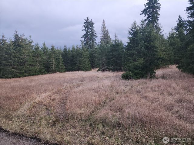 0 Lilly Road, Port Angeles, WA 98382