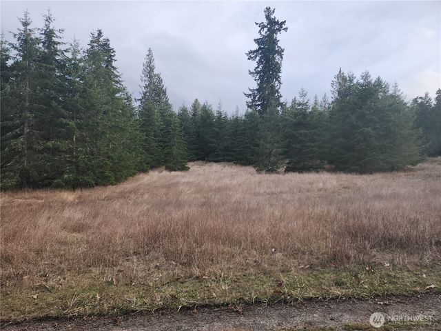 0 Lilly Road, Port Angeles, WA 98382