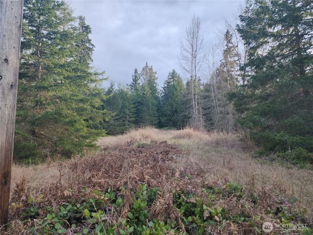 0 Lilly Road, Port Angeles, WA 98382