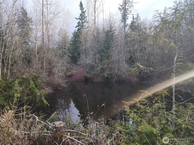 0 Lilly Road, Port Angeles, WA 98382