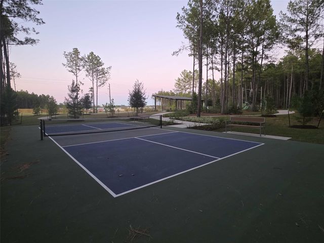 25344 Carnation Court, Montgomery, TX 77316