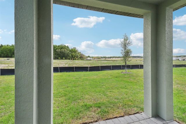 803 SUNSHOWER DRIVE, Lady Lake, FL 32159
