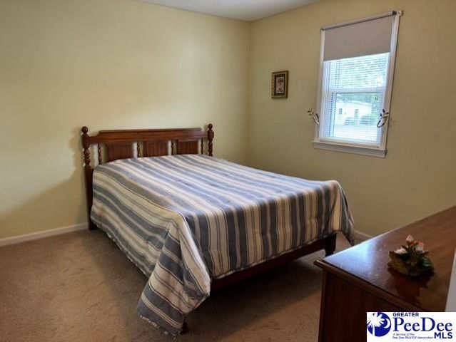 521 Davidson Street, Hartsville, SC 29550