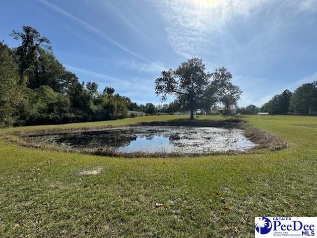 521 Davidson Street, Hartsville, SC 29550