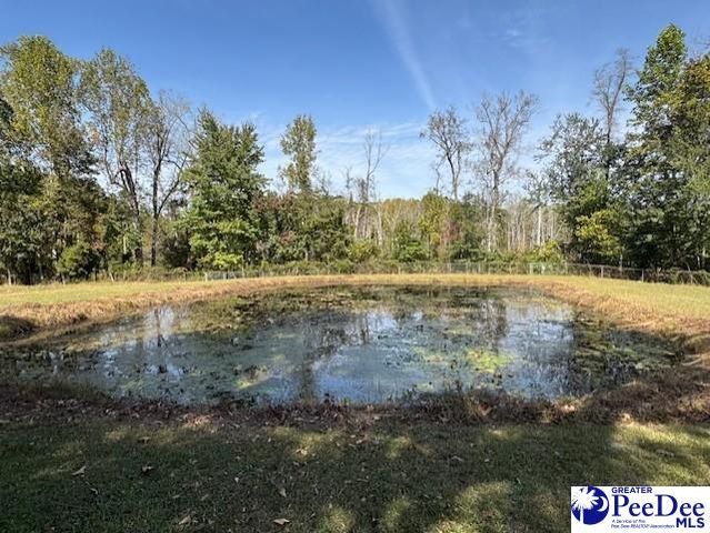 521 Davidson Street, Hartsville, SC 29550