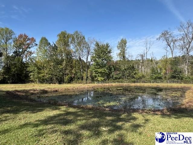 521 Davidson Street, Hartsville, SC 29550