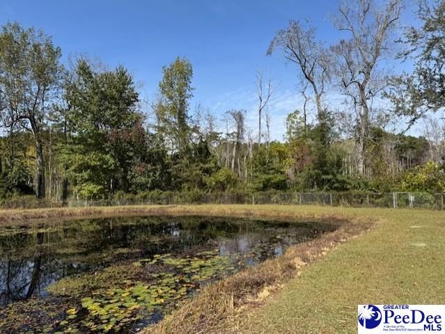 521 Davidson Street, Hartsville, SC 29550