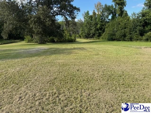 521 Davidson Street, Hartsville, SC 29550