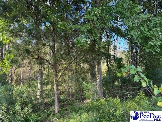 521 Davidson Street, Hartsville, SC 29550