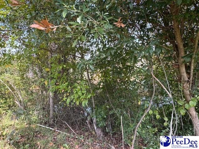 521 Davidson Street, Hartsville, SC 29550