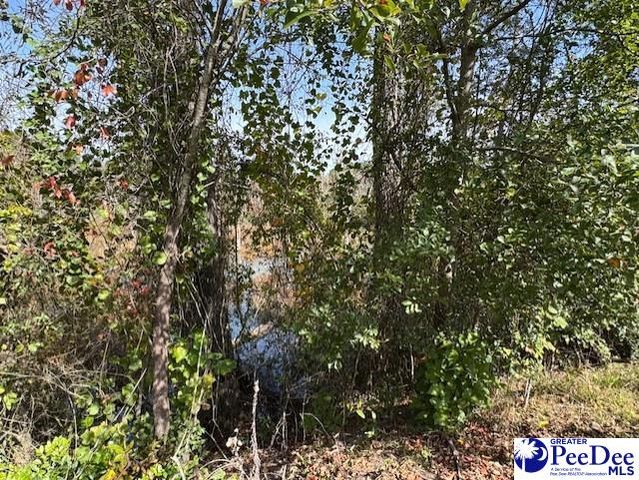 521 Davidson Street, Hartsville, SC 29550