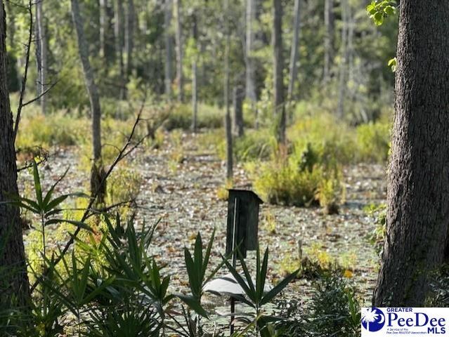 521 Davidson Street, Hartsville, SC 29550