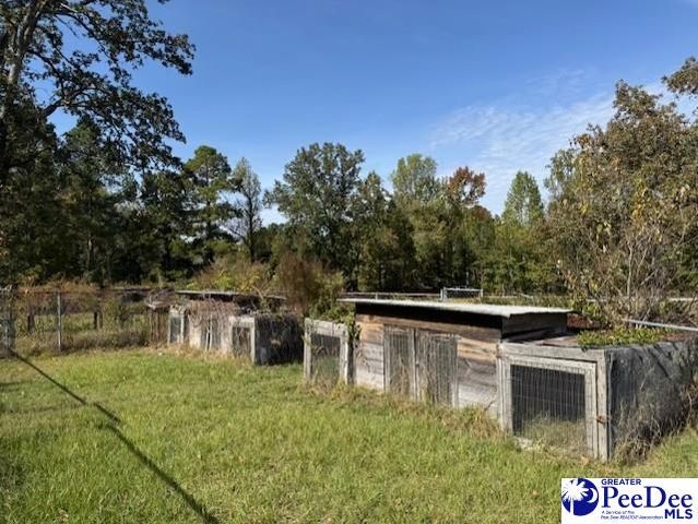 521 Davidson Street, Hartsville, SC 29550