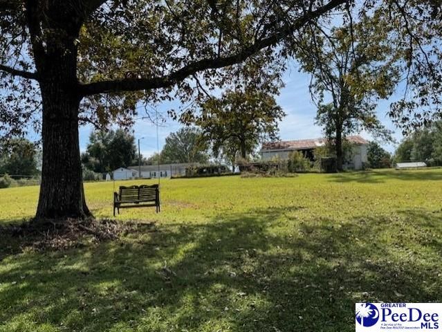 521 Davidson Street, Hartsville, SC 29550