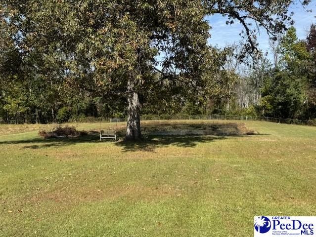 521 Davidson Street, Hartsville, SC 29550