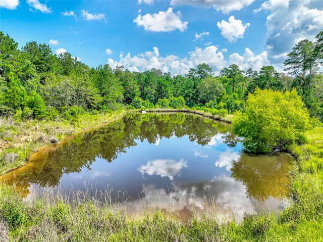 316 Barn N Lane, Livingston, TX 77351