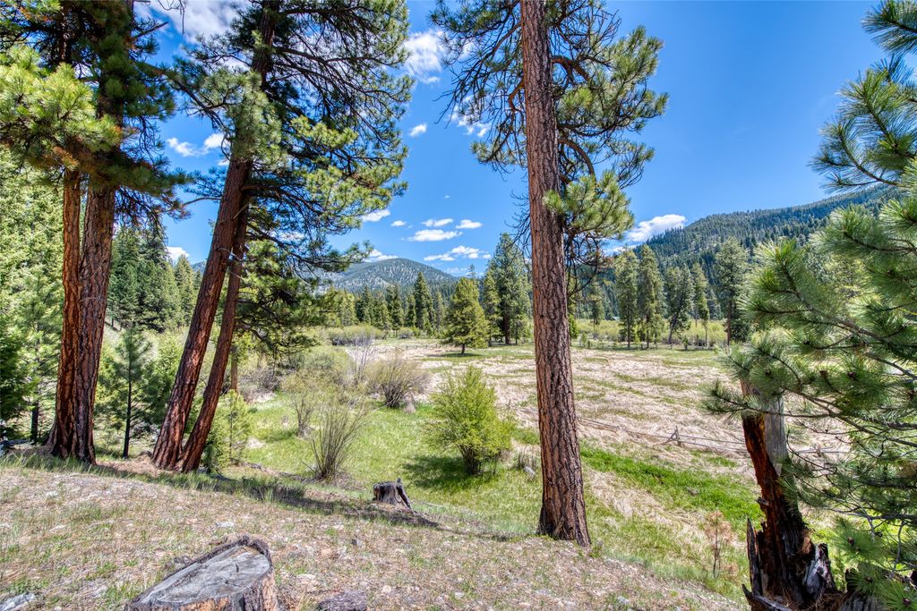 77 Alta Meadow Trail, Darby, MT 59829 photo 31