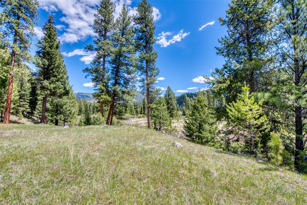 77 Alta Meadow Trail, Darby, MT 59829 photo 32