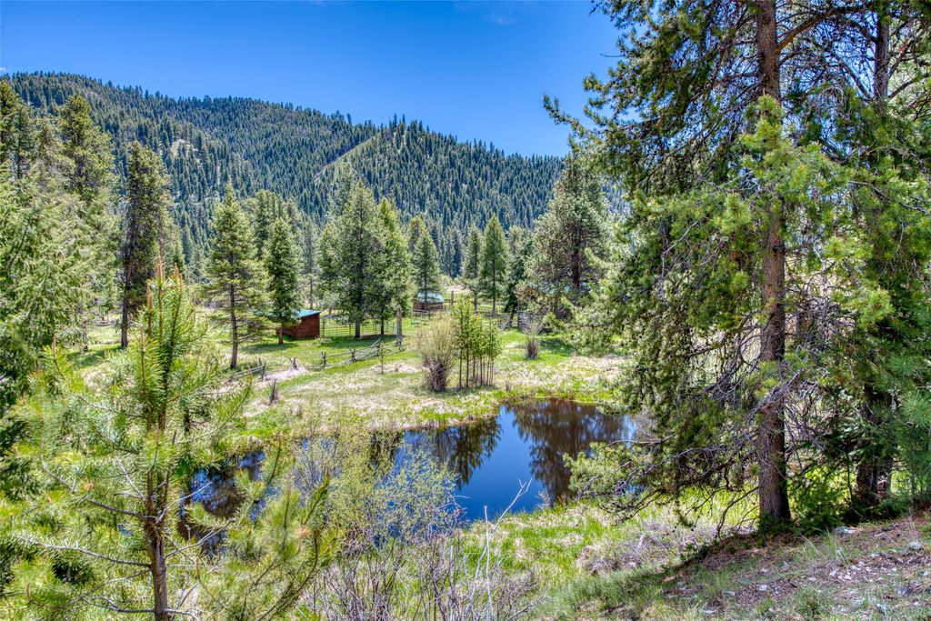 77 Alta Meadow Trail, Darby, MT 59829 photo 4
