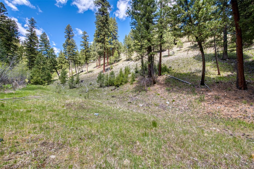 77 Alta Meadow Trail, Darby, MT 59829 photo 43