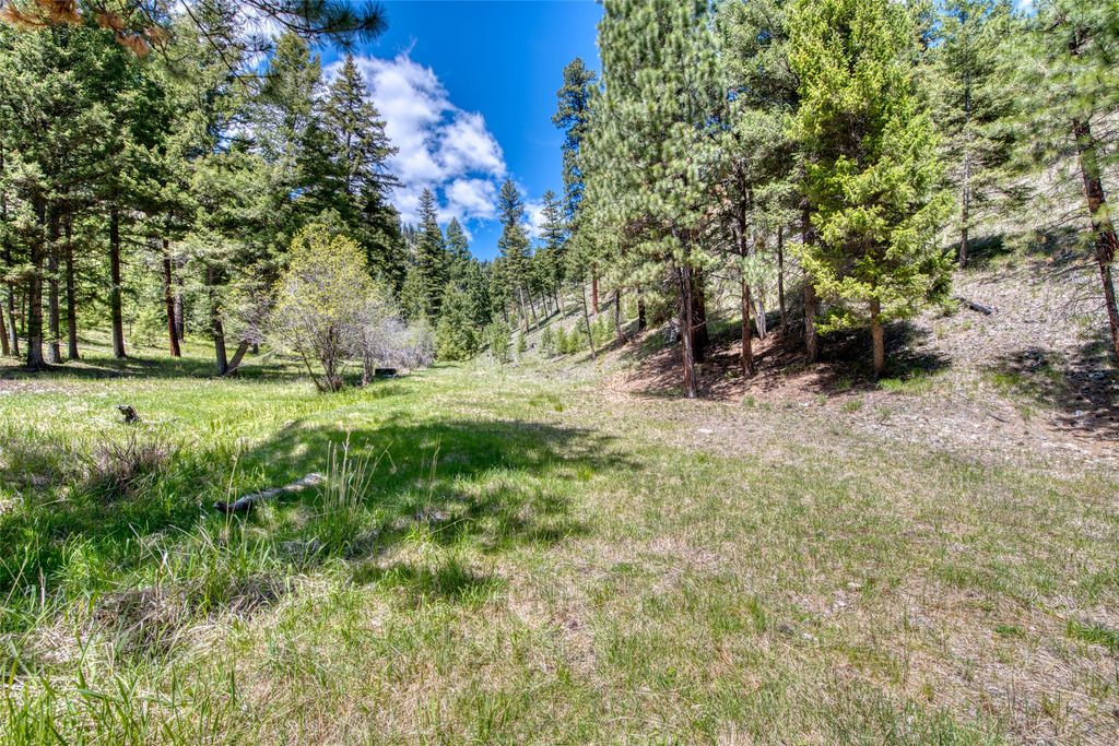 77 Alta Meadow Trail, Darby, MT 59829 photo 45
