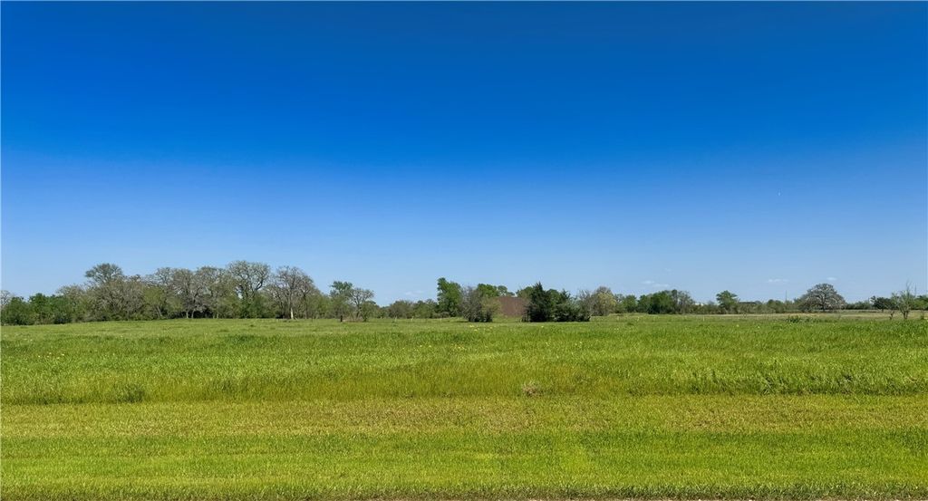 10042 Panther Creek Drive, Iola, TX 77861 — exterior