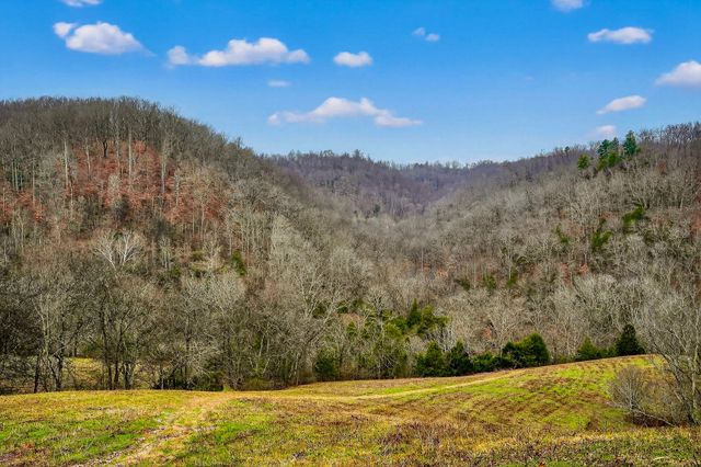 2578 Pea Ridge Rd, Liberty, TN 37095