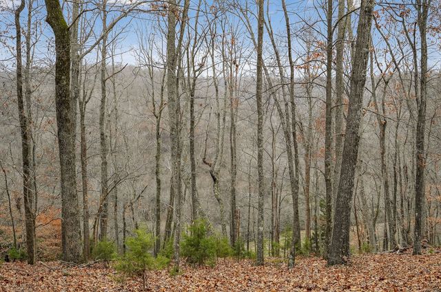 2578 Pea Ridge Rd, Liberty, TN 37095